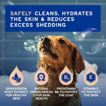 DOUXO® Skin & Coat SPA Shed Control Shampoo