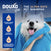 DOUXO® Skin & Coat SPA Shed Control Shampoo
