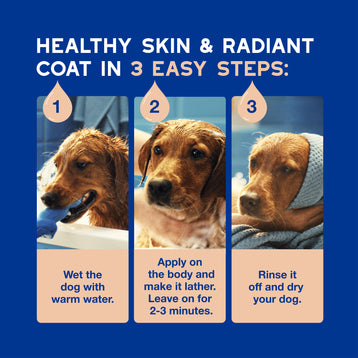 DOUXO® Skin & Coat SPA Shed Control Shampoo