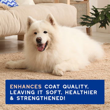 DOUXO® Skin & Coat SPA Shed Control Shampoo
