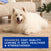 DOUXO® Skin & Coat SPA Shed Control Shampoo