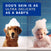 DOUXO® Skin & Coat SPA Multipurpose Wipes