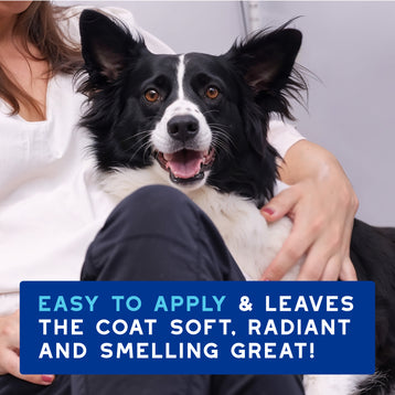 DOUXO® Skin & Coat SPA Quick Refresh Leave-on Mousse