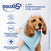 DOUXO® S3 PYO Shampoo