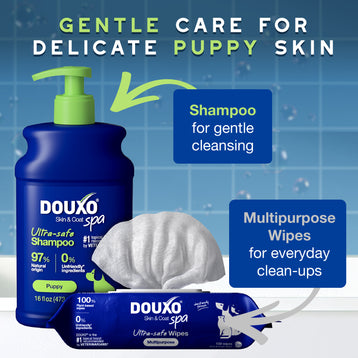 DOUXO® Skin & Coat SPA Puppy Shampoo & Multipurpose Wipes Bundle