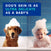 DOUXO® Skin & Coat SPA Odor Control Shampoo