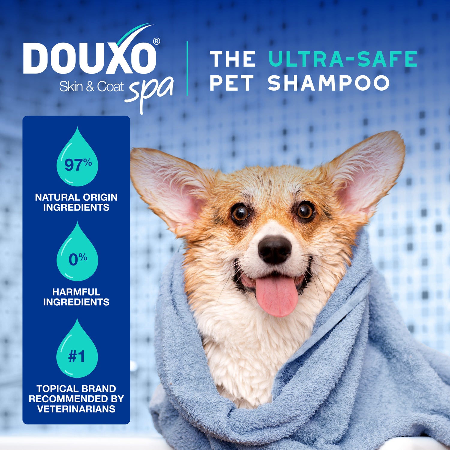 DOUXO® Skin & Coat SPA Odor Control Shampoo