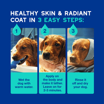 DOUXO® Skin & Coat SPA Odor Control Shampoo