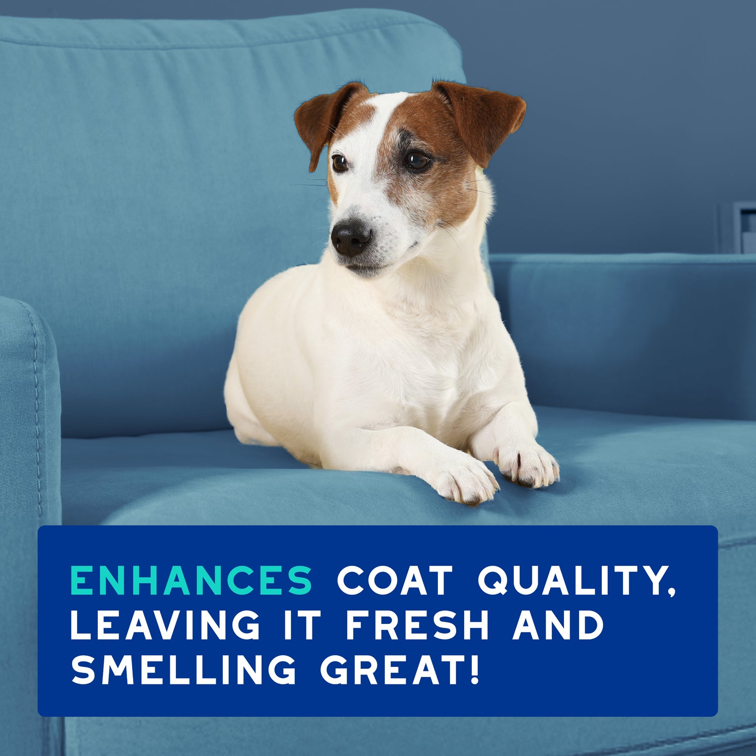 DOUXO® Skin & Coat SPA Odor Control Shampoo