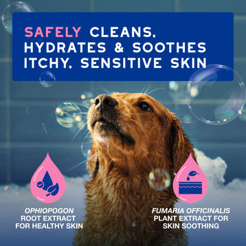 DOUXO® Skin & Coat SPA Sensitive skin Soothing Shampoo