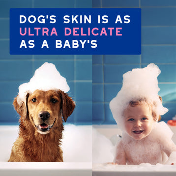 DOUXO® Skin & Coat SPA Sensitive skin Soothing Shampoo