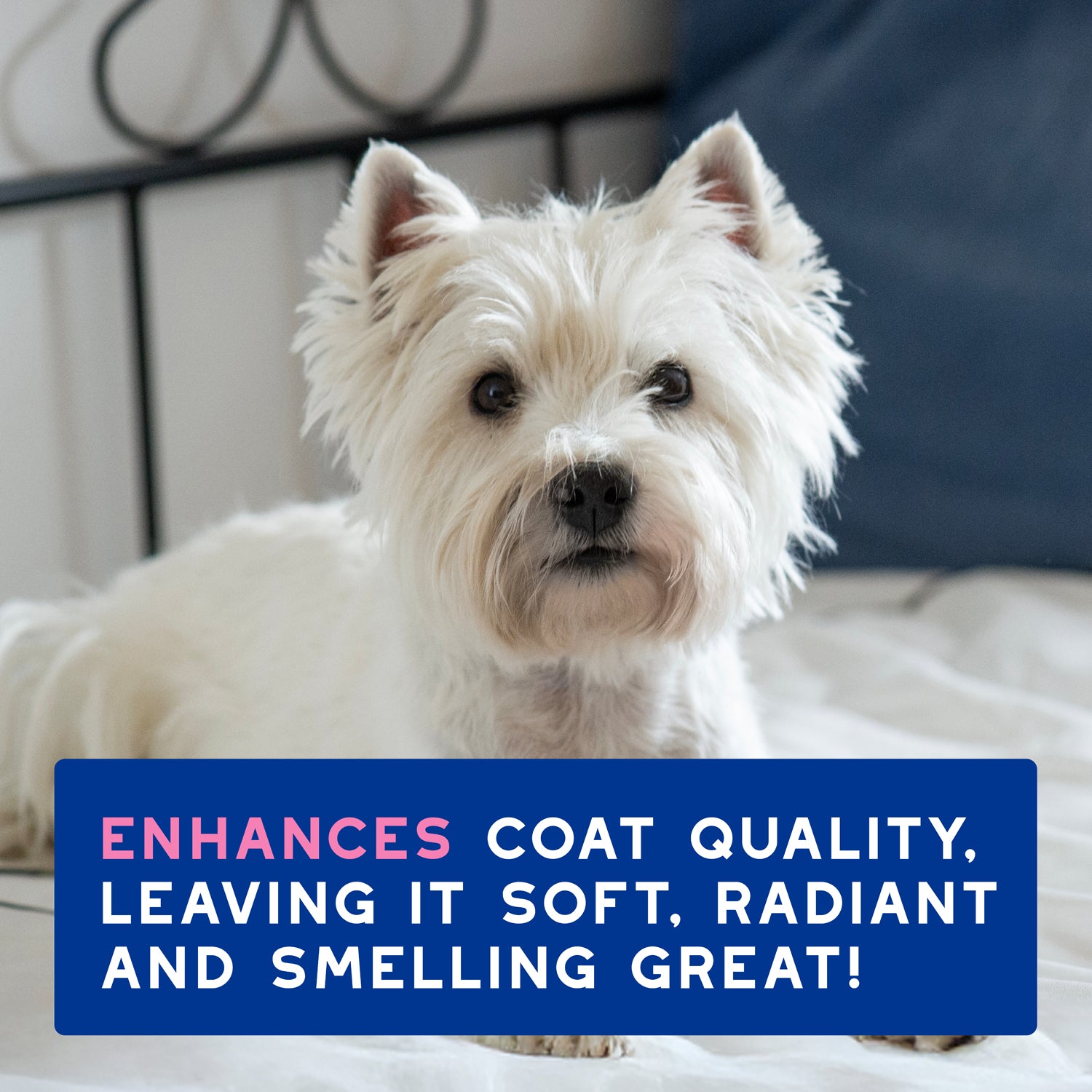 DOUXO® Skin & Coat SPA Sensitive Skin-Soothing Shampoo