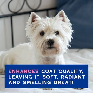 DOUXO® Skin & Coat SPA Sensitive skin Soothing Shampoo