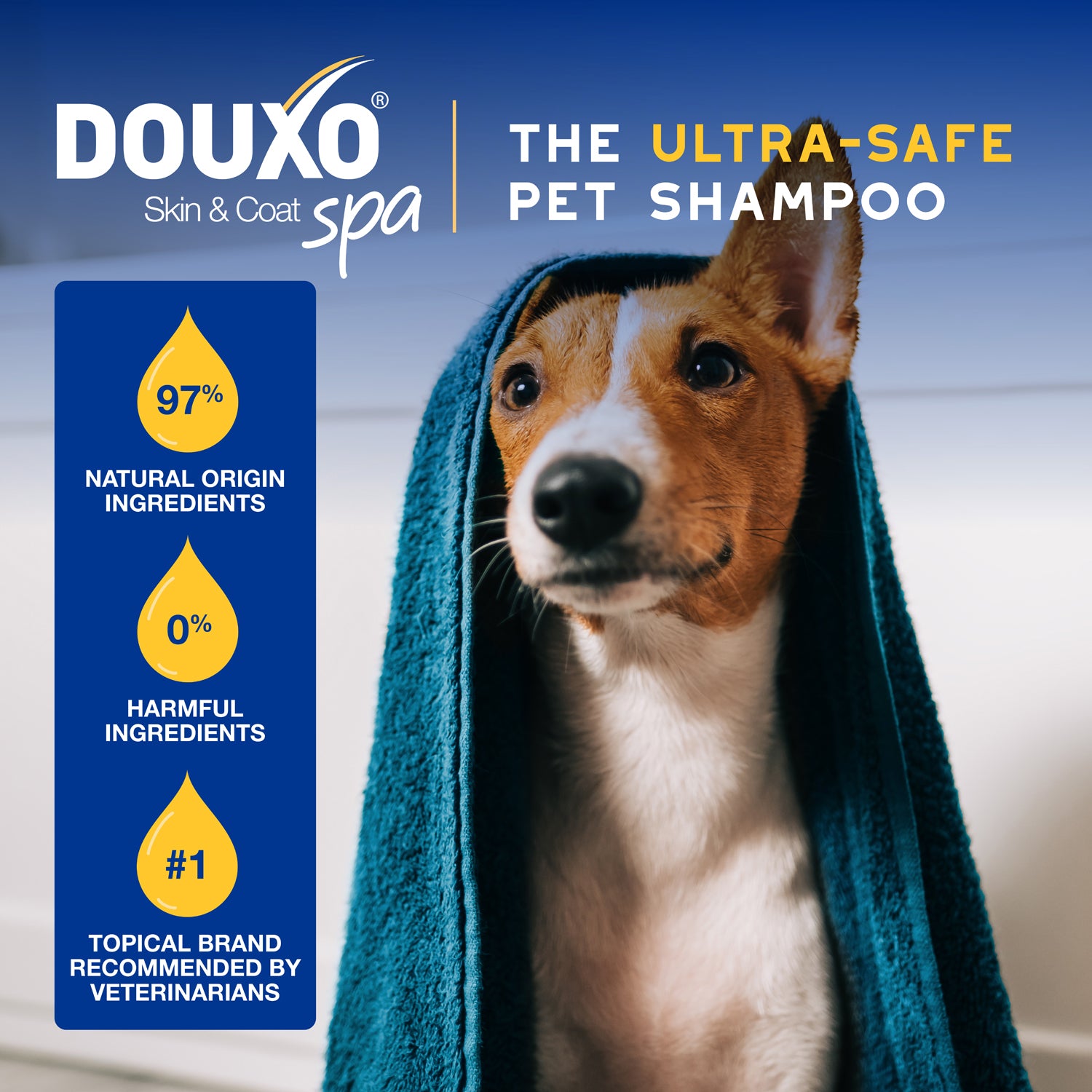 DOUXO® Skin & Coat SPA Oatmeal Shampoo