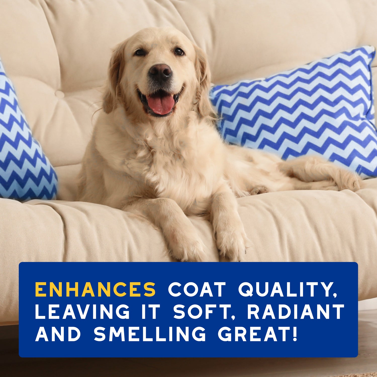 DOUXO® Skin & Coat SPA Oatmeal Shampoo