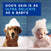 DOUXO® Skin & Coat SPA Quick Refresh Leave-on Mousse & Multipurpose Wipes Bundle