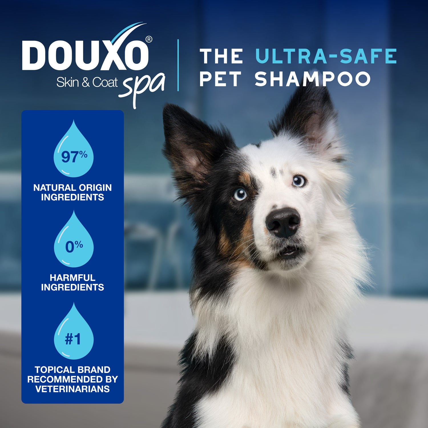 DOUXO® Skin & Coat SPA Quick Refresh Leave-on Mousse