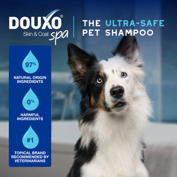 DOUXO® Skin & Coat SPA Quick Refresh Leave-on Mousse & Multipurpose Wipes Bundle