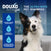 DOUXO® Skin & Coat SPA Quick Refresh Leave-on Mousse & Multipurpose Wipes Bundle