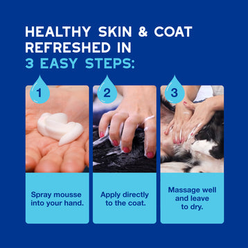 DOUXO® Skin & Coat SPA Quick Refresh Leave-on Mousse & Multipurpose Wipes Bundle