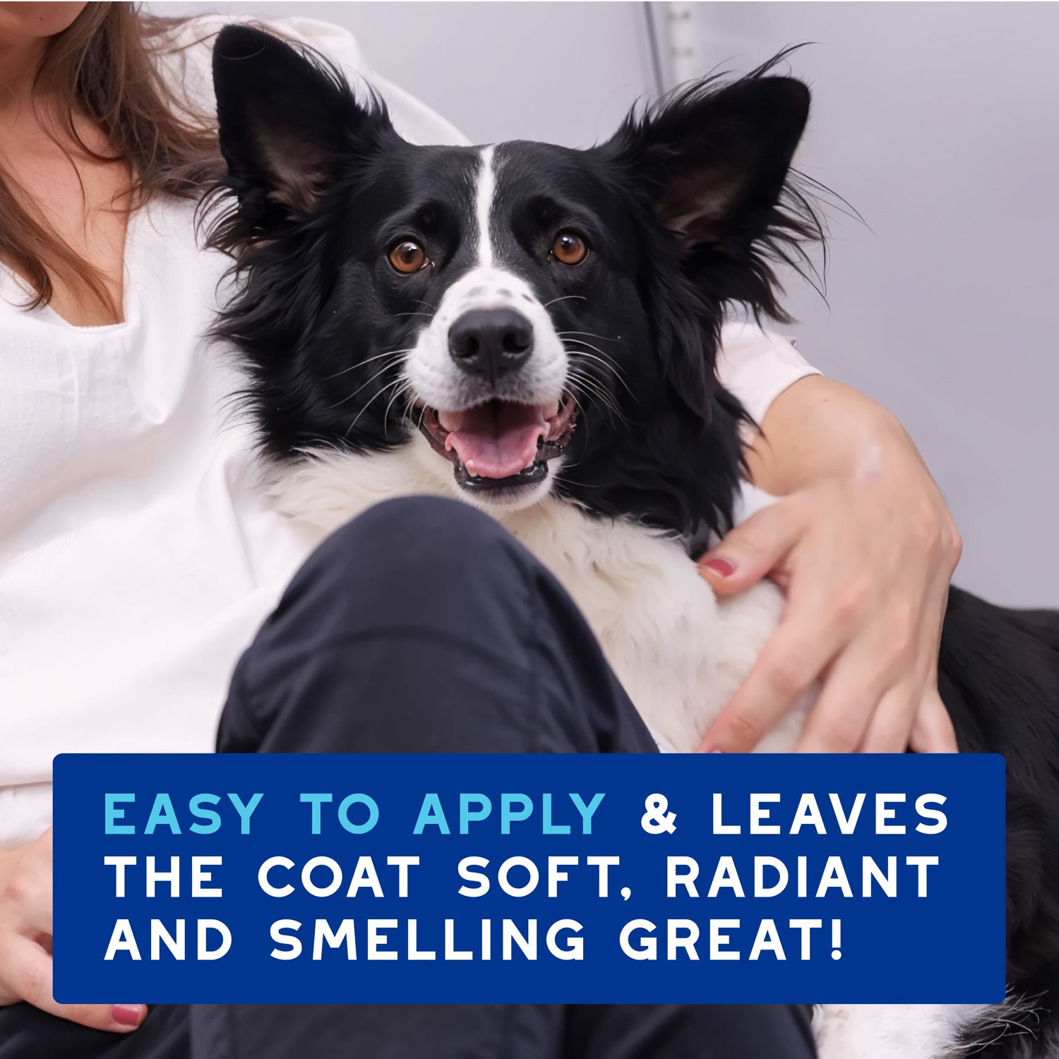 DOUXO® Skin & Coat SPA Quick Refresh Leave-on Mousse