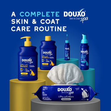 DOUXO® Skin & Coat SPA Quick Refresh Leave-on Mousse & Multipurpose Wipes Bundle