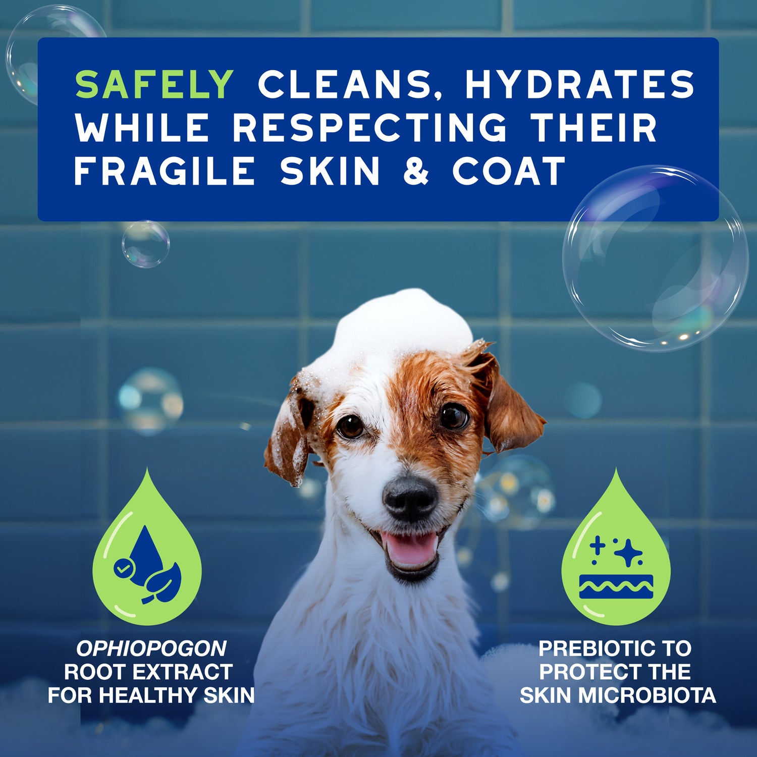 DOUXO® Skin & Coat SPA Puppy Shampoo