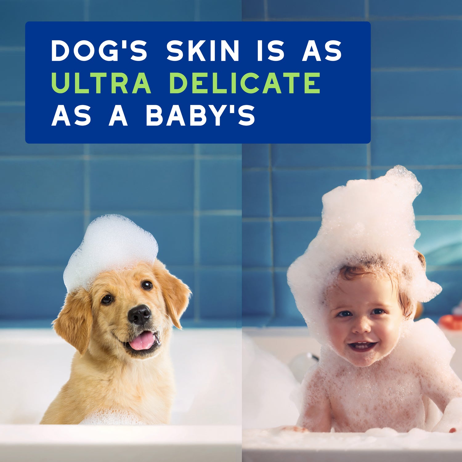 DOUXO® Skin & Coat SPA Puppy Shampoo