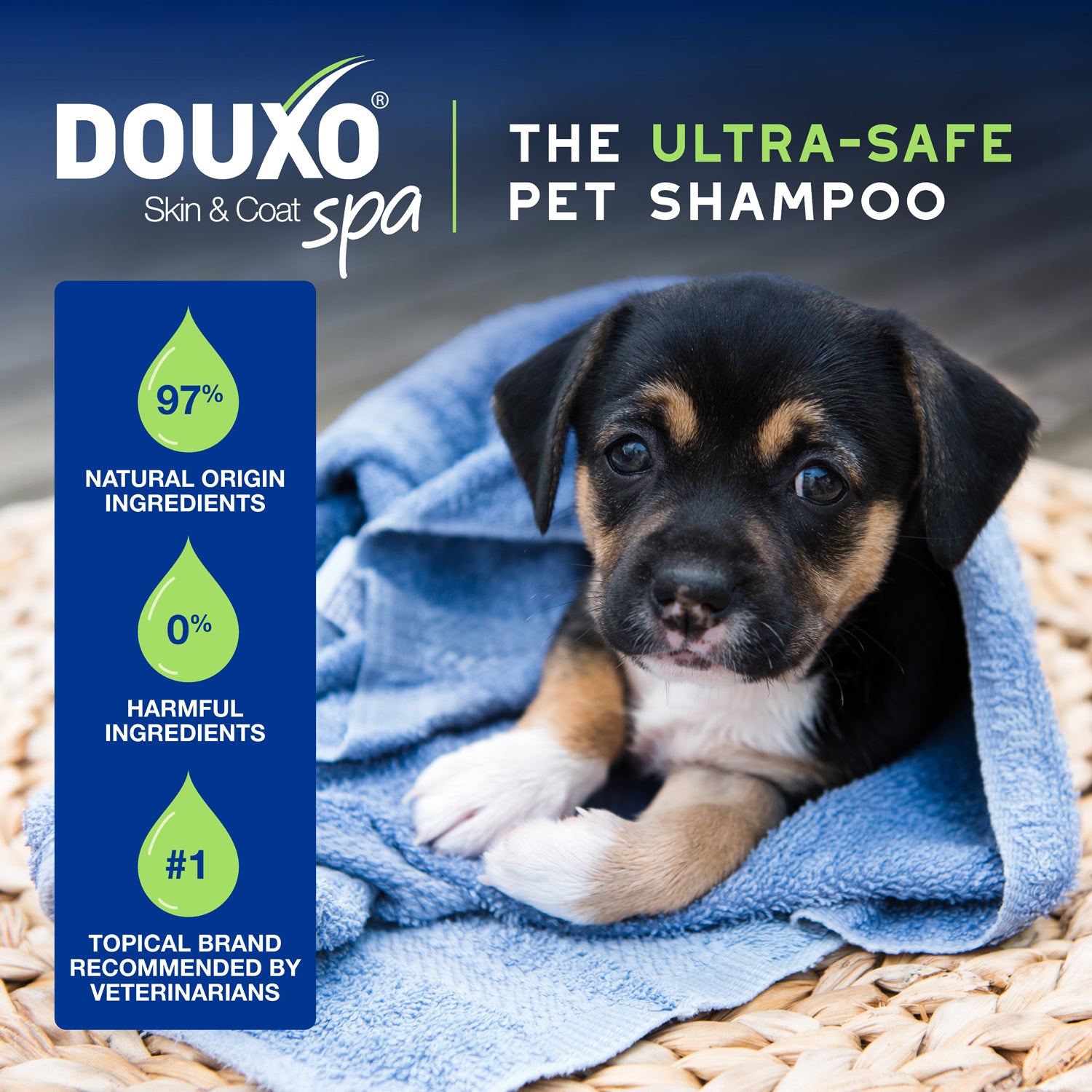 DOUXO® Skin & Coat SPA Puppy Shampoo