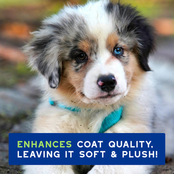 DOUXO® Skin & Coat SPA Puppy Shampoo