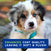 DOUXO® Skin & Coat SPA Puppy Shampoo