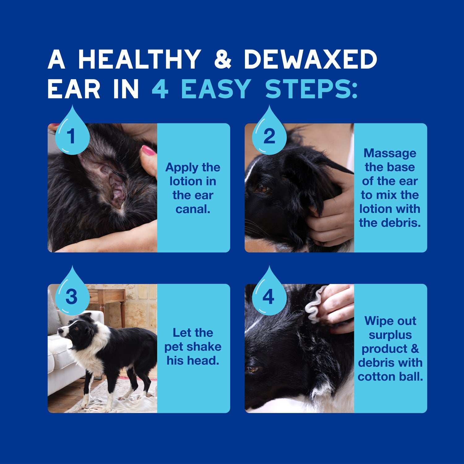 DOUXO® Skin & Coat SPA Dewaxing Ear Cleaner