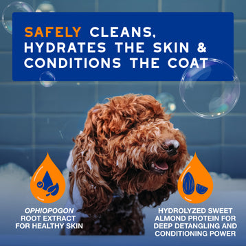 DOUXO® Skin & Coat SPA 2-in-1 Conditioning Shampoo