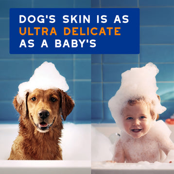 DOUXO® Skin & Coat SPA 2-in-1 Conditioning Shampoo