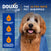 DOUXO® Skin & Coat SPA 2-in-1 Conditioning Shampoo