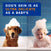 DOUXO® Skin & Coat SPA 2-in-1 Conditioning Shampoo & Multipurpose Wipes Bundle