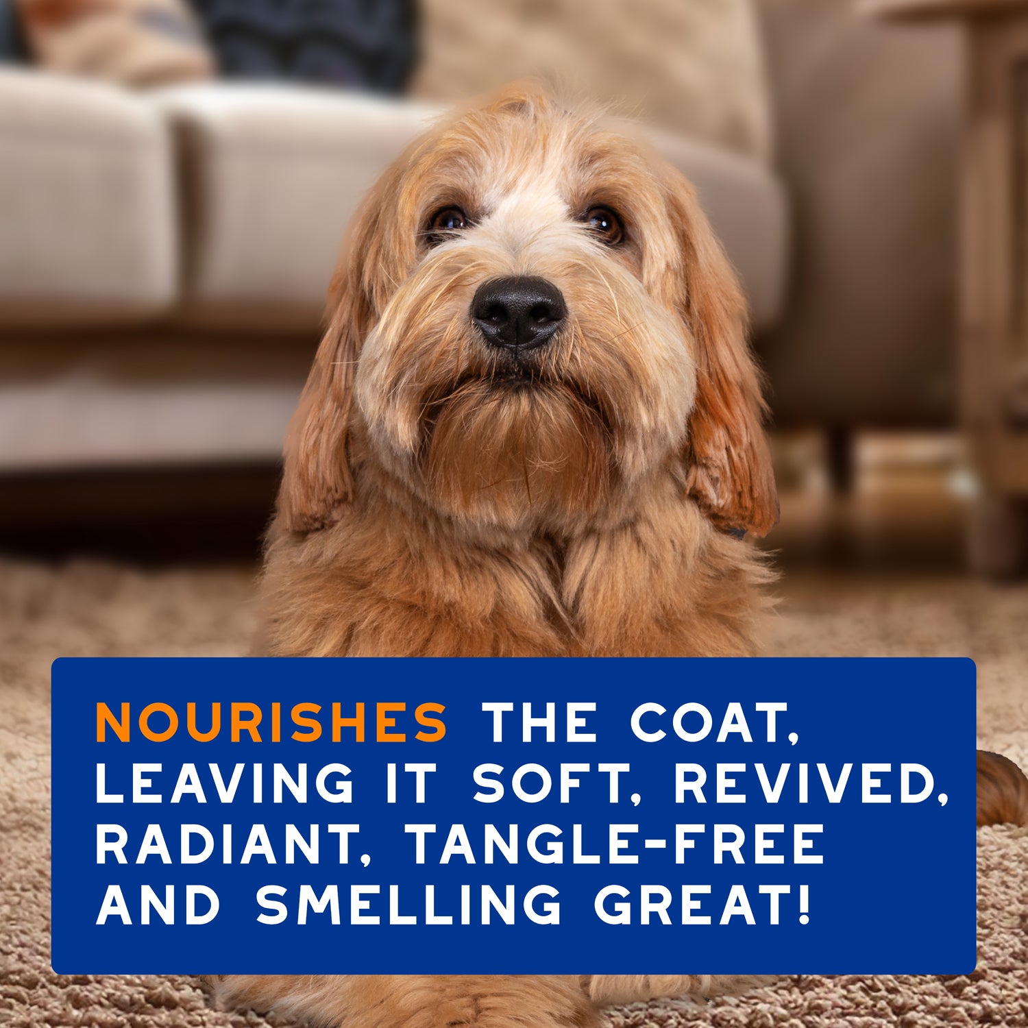 DOUXO® Skin & Coat SPA Detangling Spray