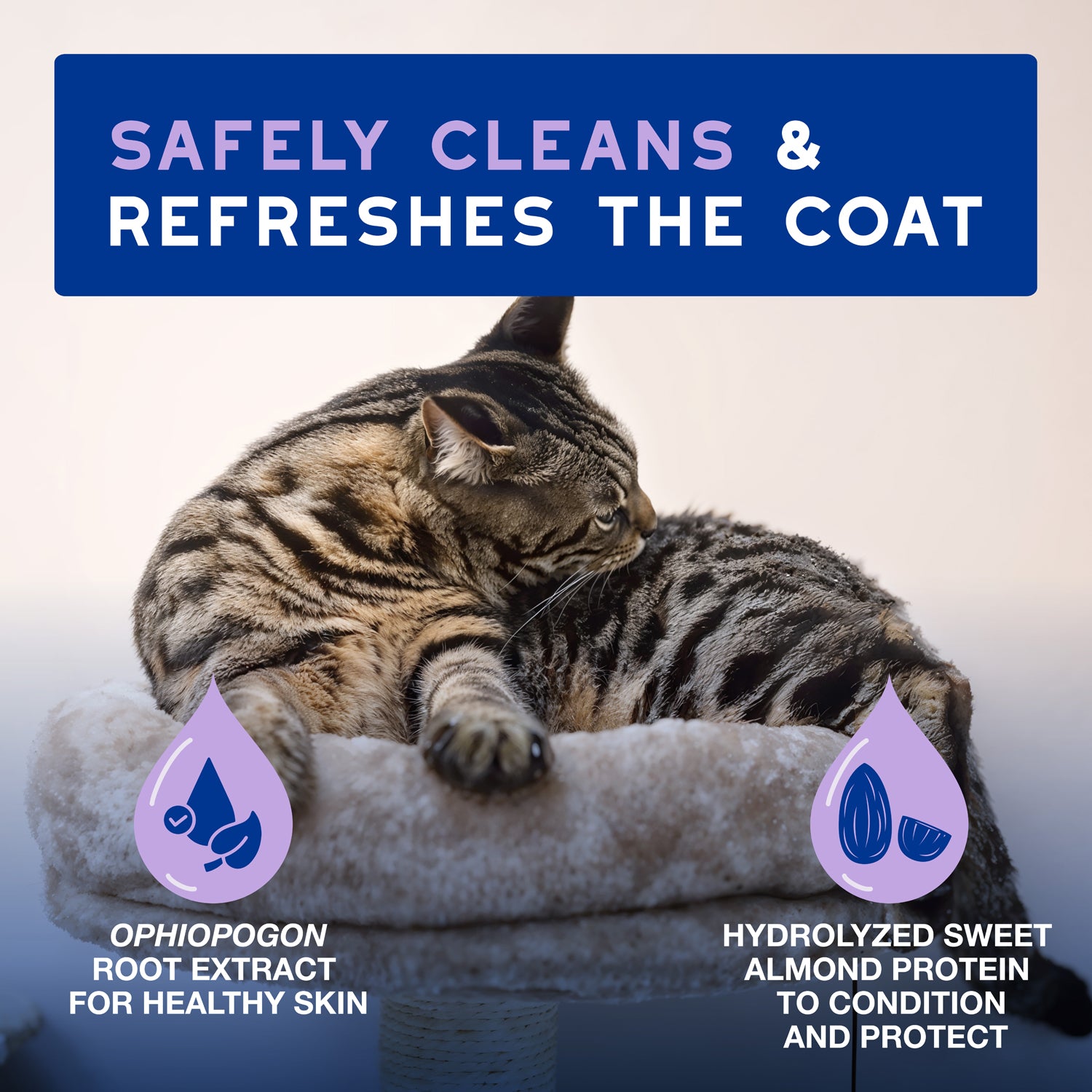 DOUXO® Skin & Coat SPA Low-stress Refresh Leave-on Mousse