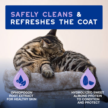 DOUXO® Skin & Coat SPA Low-stress Refresh Leave-on Mousse