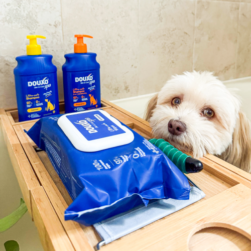Dog in a bathtub with DOUXO SPA products including 2 bottles of shampoo and pack of wipes.