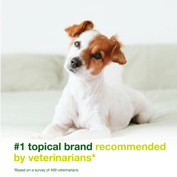 DOUXO® S3 SEB Shampoo & DOUXO® S3 SEB Mousse Bundle