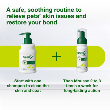 DOUXO® S3 SEB Shampoo & DOUXO® S3 SEB Mousse Bundle