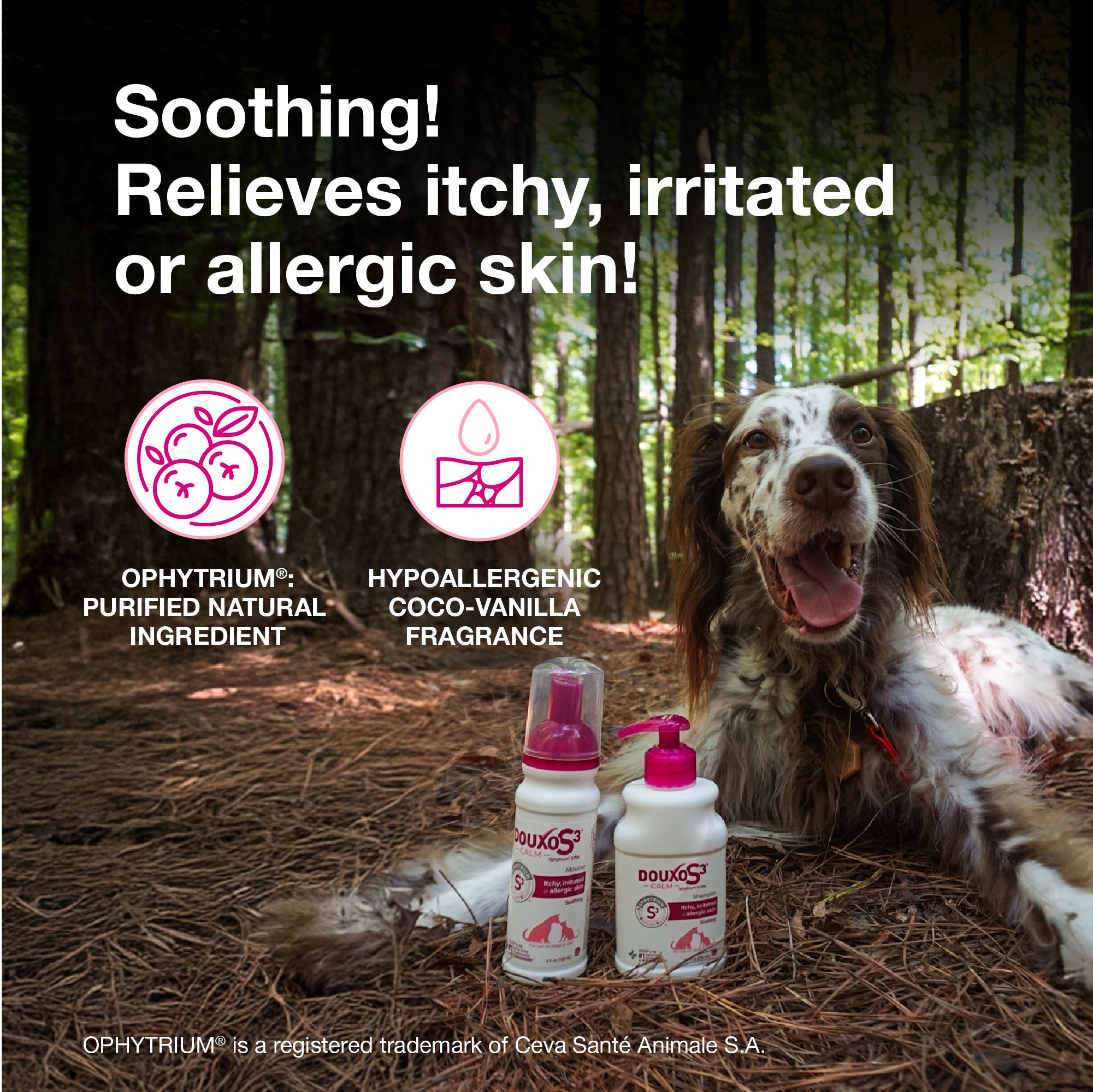 DOUXO® S3 CALM Shampoo & DOUXO® S3 CALM Mousse Bundle