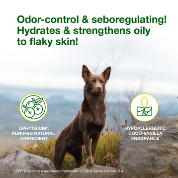 DOUXO® S3 SEB Mousse