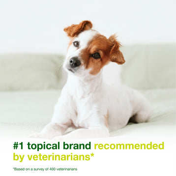 DOUXO® S3 SEB Mousse