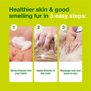 DOUXO® S3 SEB Mousse