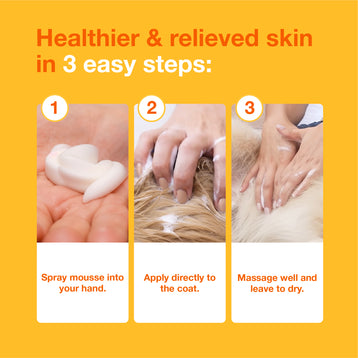 DOUXO® S3 PYO Mousse