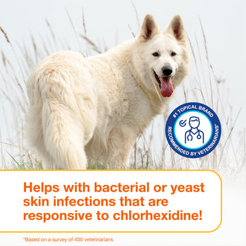 DOUXO® S3 PYO Mousse