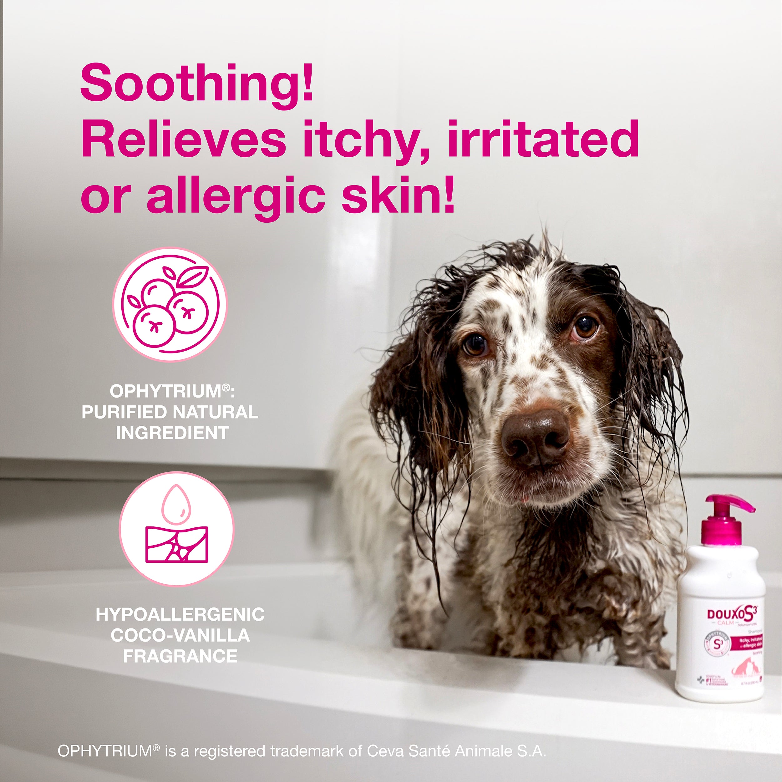 DOUXO® S3 CALM Shampoo