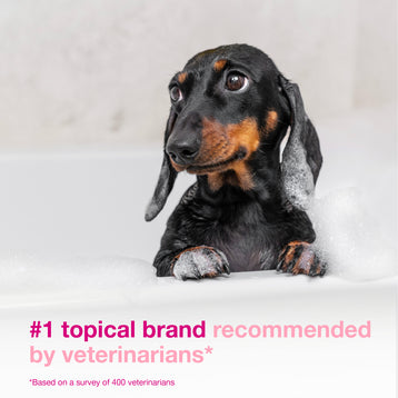 DOUXO® S3 CALM Shampoo